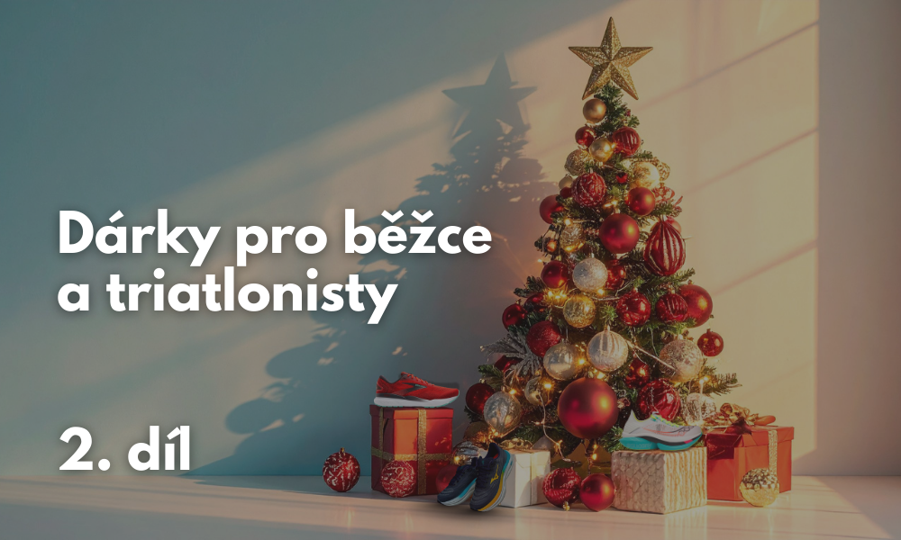 Vánoční banner Triexpert